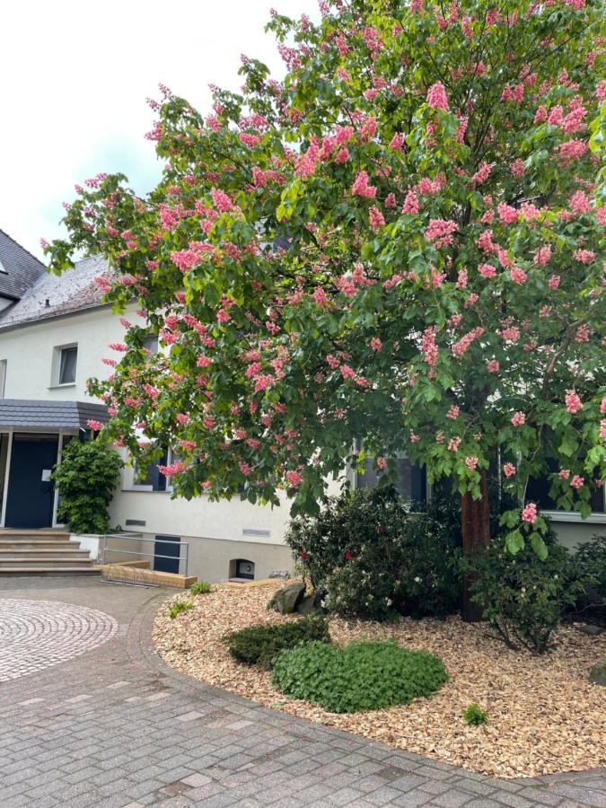 Hotel Luther Birke 3*