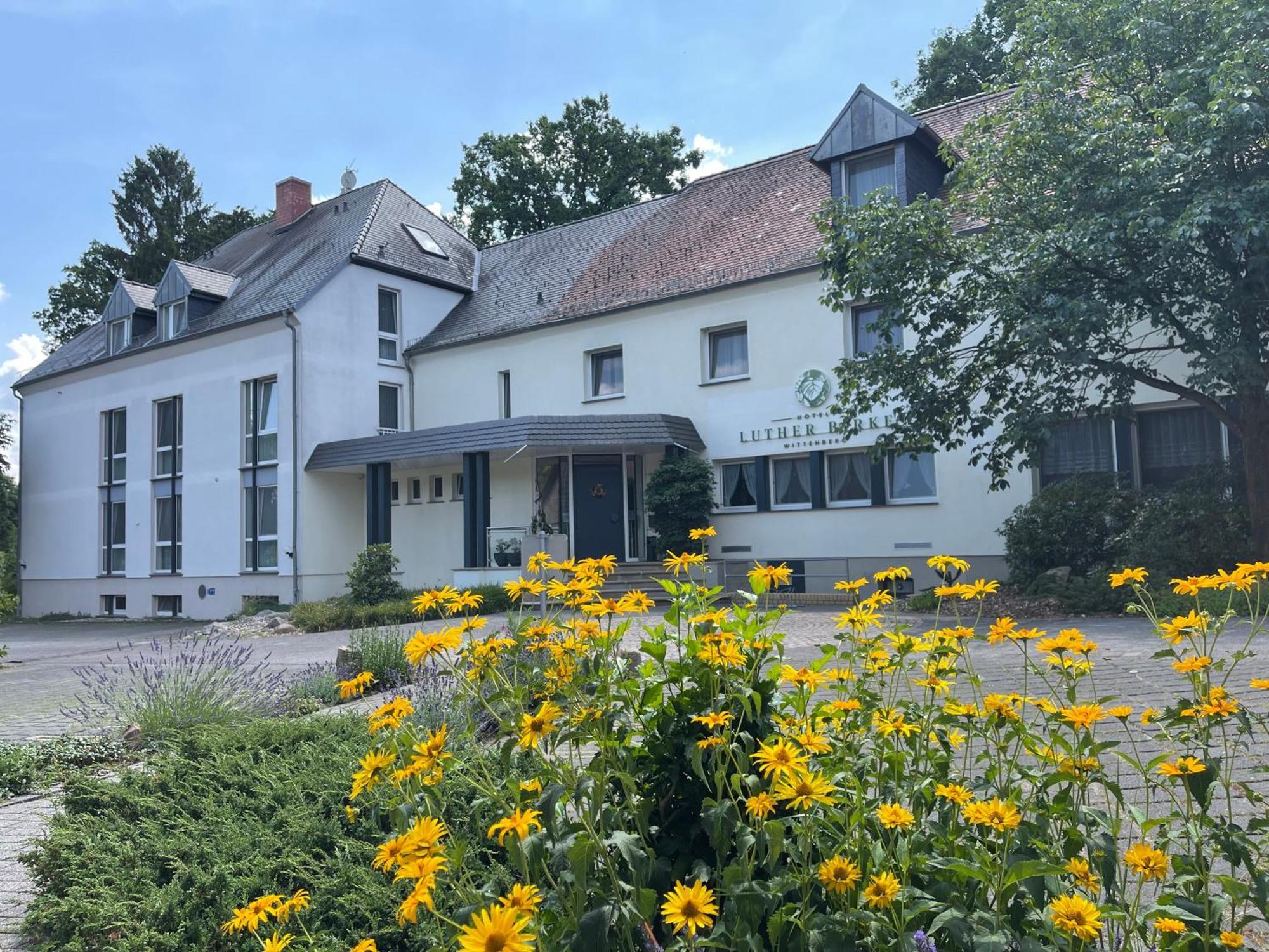Luther Birke Hotel Wittenberg